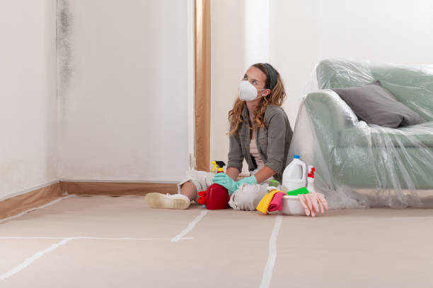 Reliable Mold Remediation contractor in Concord, VA by Cheap Mold Removal