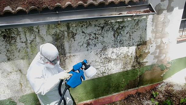 Top rated local Mold Remediation specialists in Concord, VA